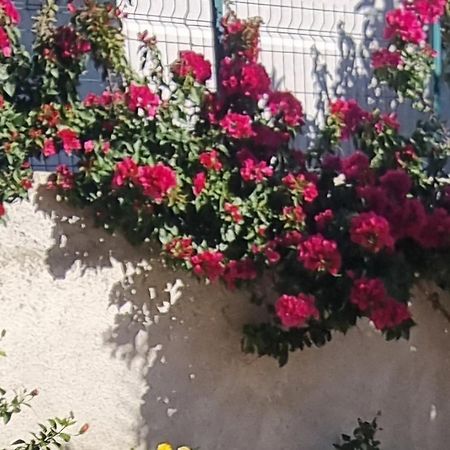 Vila Megi-Rent Room Вльора Екстер'єр фото