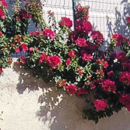 Vila Megi-Rent Room Вльора Екстер'єр фото
